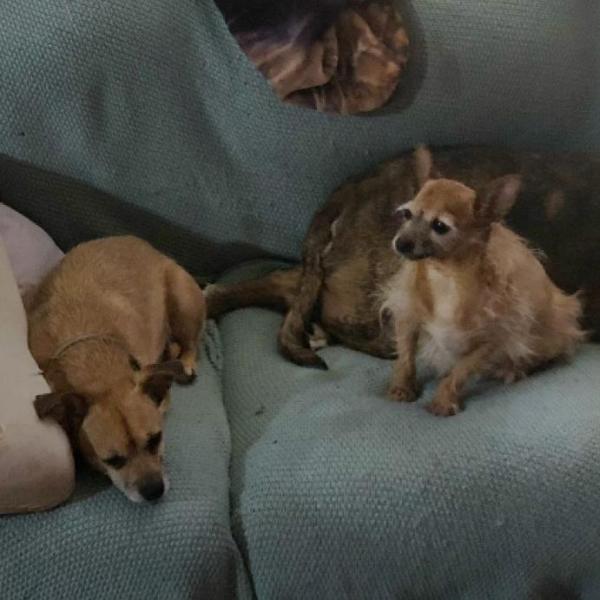 Lady Everett profile image 2