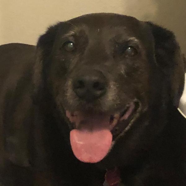 Misty Everett profile image 2