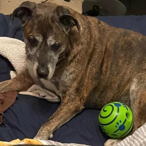 Allie Hawley profile image 2