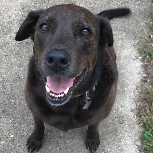 Misty Everett profile image 1