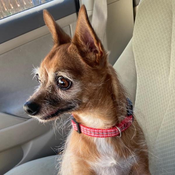 Lady Everett profile image 1